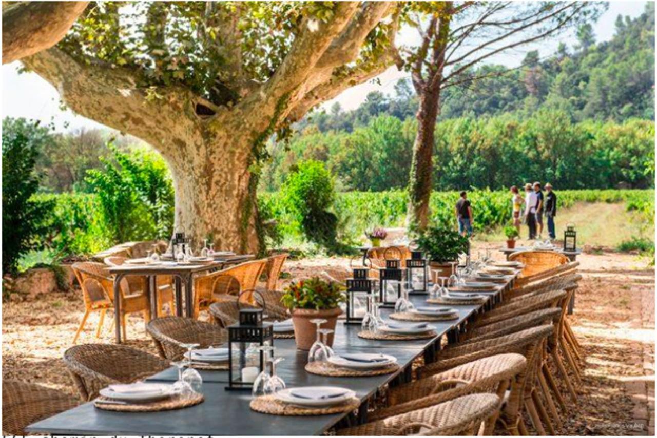 ヴィドーバン Domaine Regis Freres Bed & Breakfast エクステリア 写真